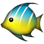 tropical_fish